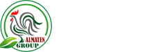 almaten group